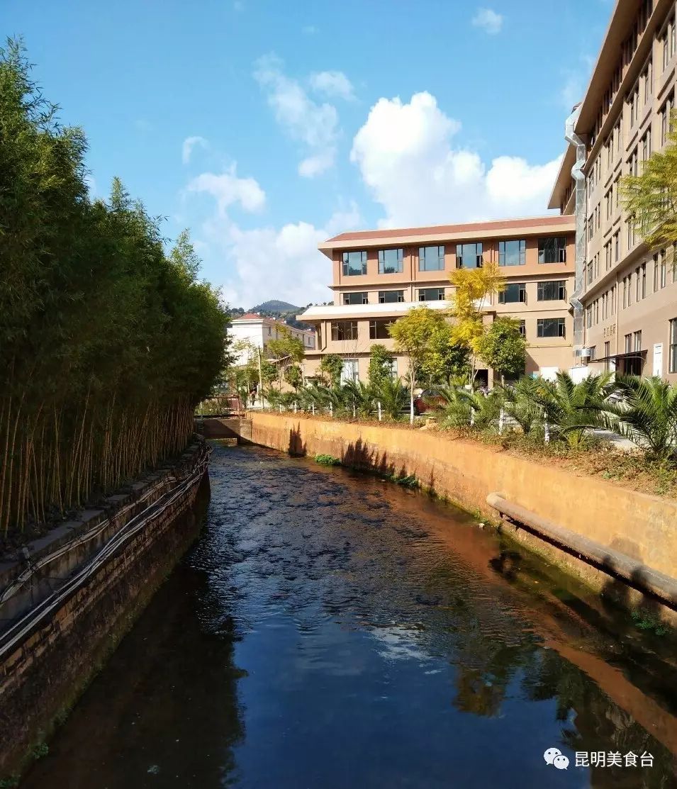 云南最神秘的六个野温泉，峡谷弥漫雾气小鱼咬脚，车底盘常常被刮