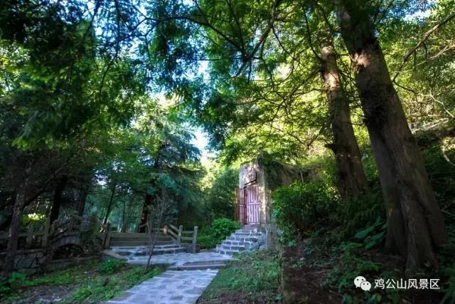 鸡公山探险之旅,鸡公山自然保护区景点