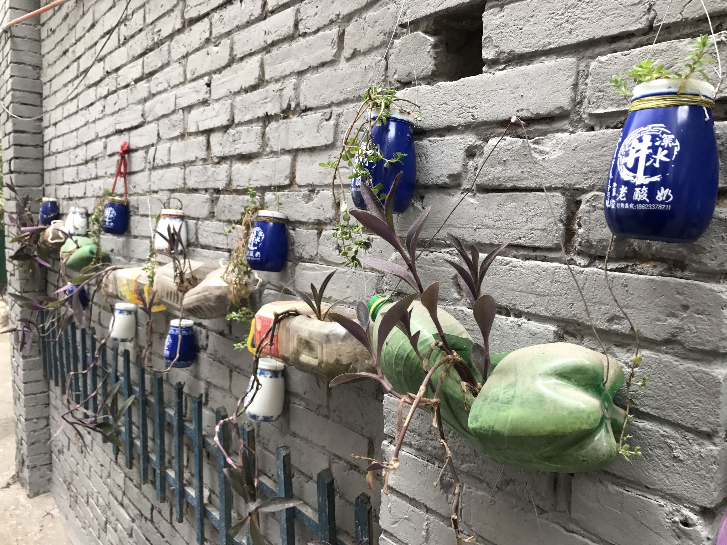 山城重庆游记,吃货重庆游