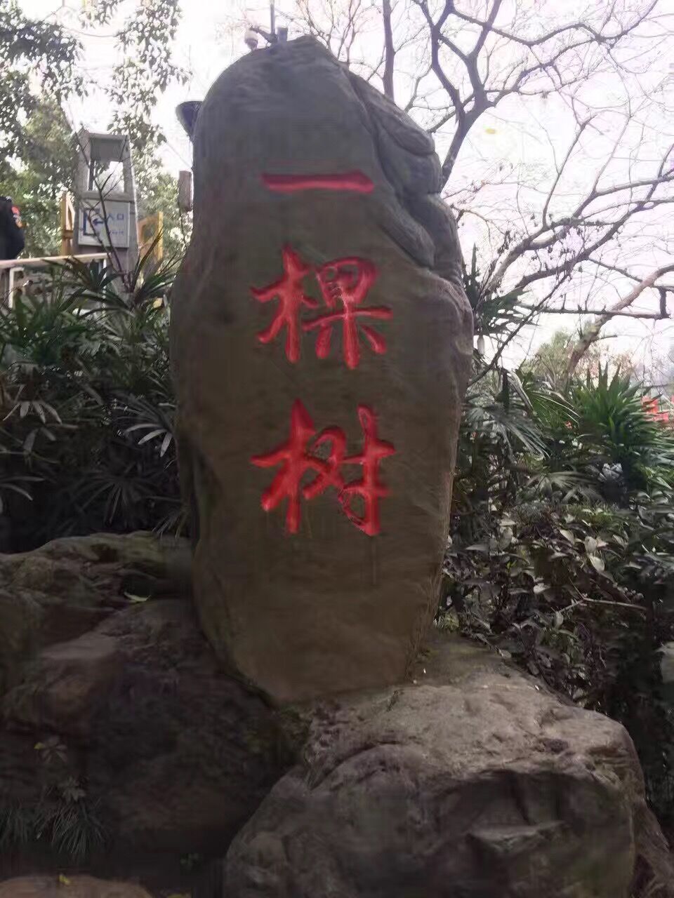 山城重庆游记,吃货重庆游