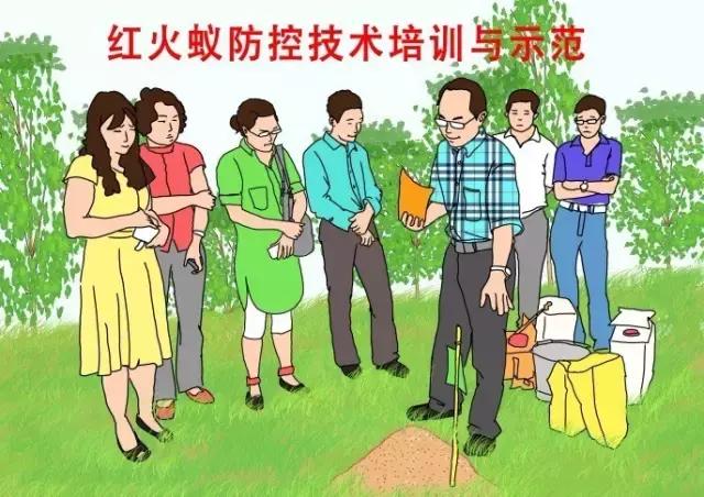 在户外要怎么关注红火蚁,高度警惕红火蚁