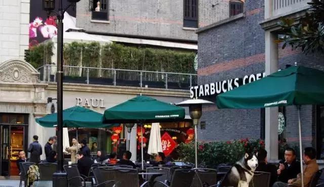 上海地铁直达花海,上海地铁9号线景点