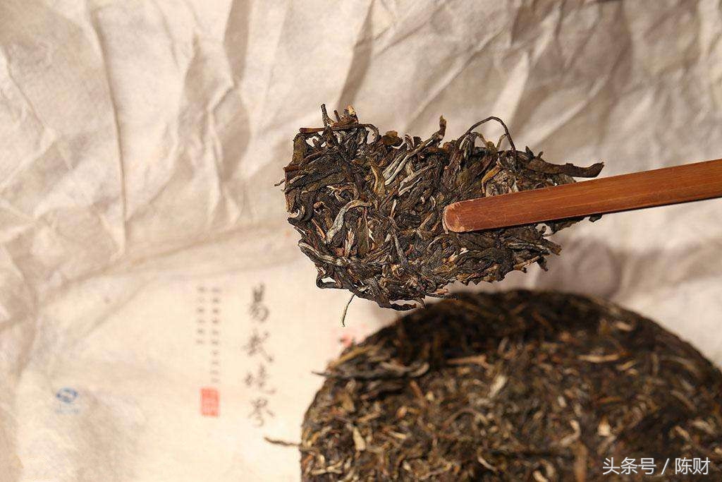 茶漏会产生黄曲霉素吗,湿仓茶能退仓吗