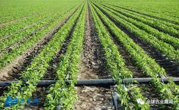 各种农机大盘点（2），你认识几种？