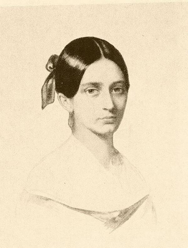 每日花语：9月13日杨柳-同日之星张晓敏/陈慧琳（图）