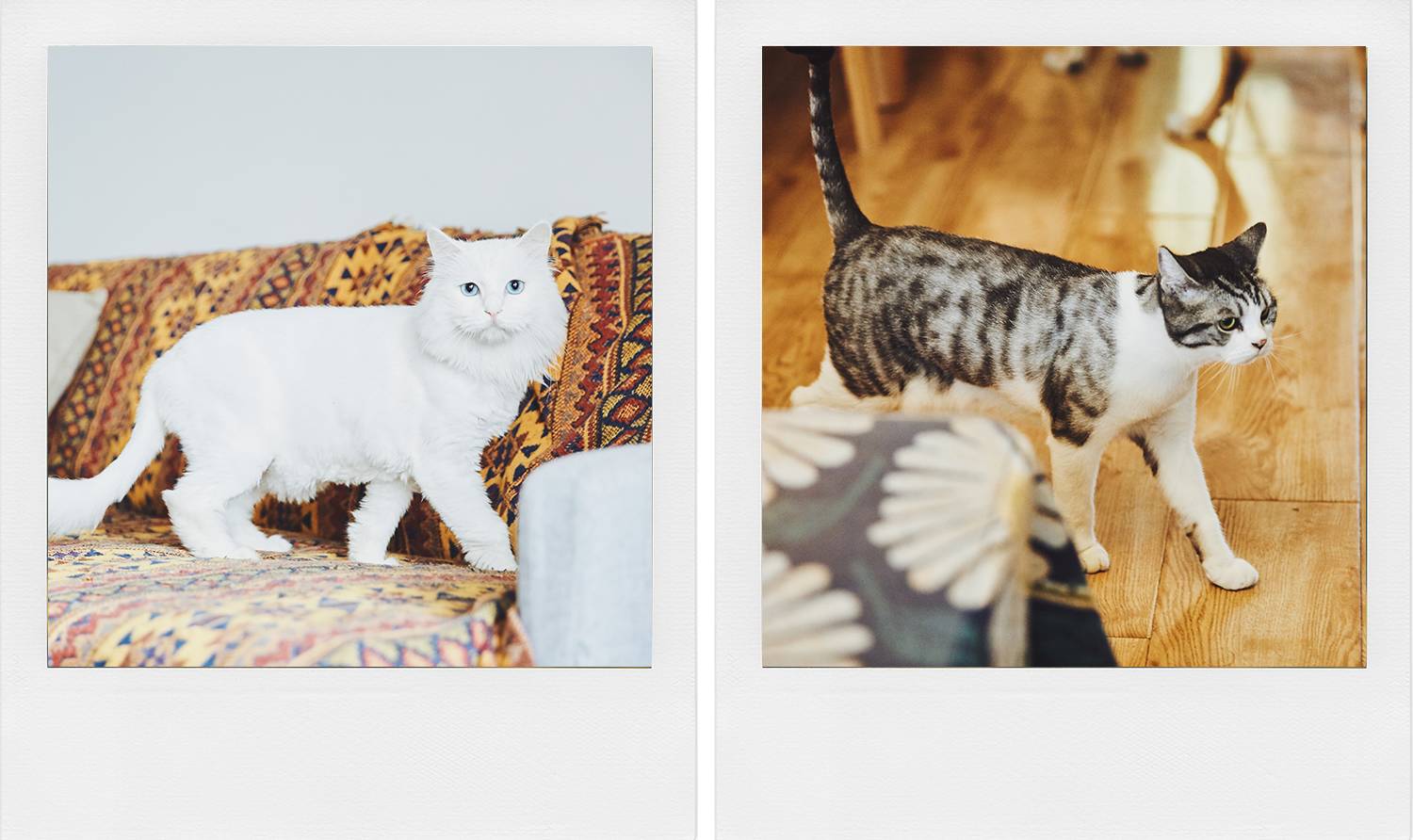 “列车运行前方：龙车站”我和TA打开了意外之门