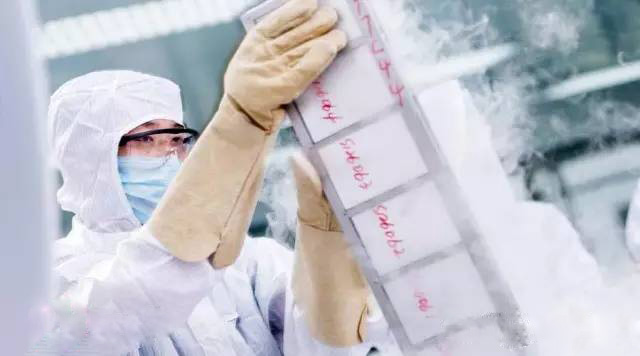 脐带血是什么为什么要保存脐带血,科普脐带血的作用是什么