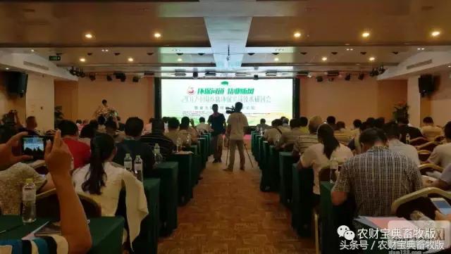 环保风暴对中国经济有影响吗,猪价继续低迷养殖猪企还能撑多久