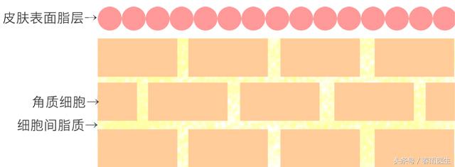 如何让护肤品不掉,教你如何让护肤品高效吸收