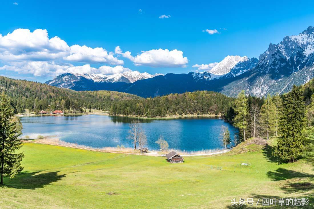 故事：湖泊中的血咒，掉进胡中必死无疑