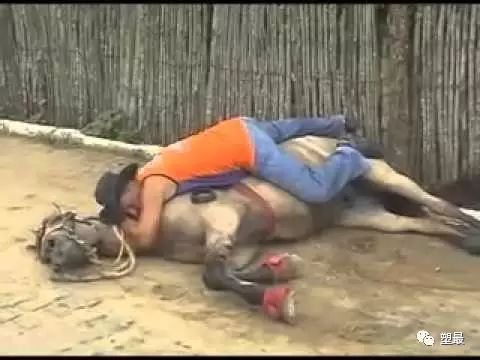 醒酒的绝招视频,醒酒最快的方法幽默