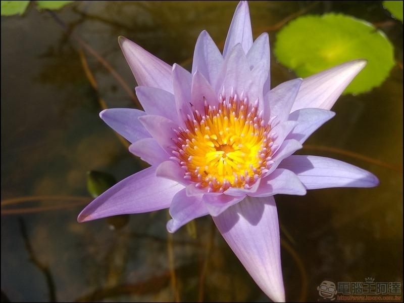 小米A1开箱评测：首款搭载AndroidOne系统的小米手机