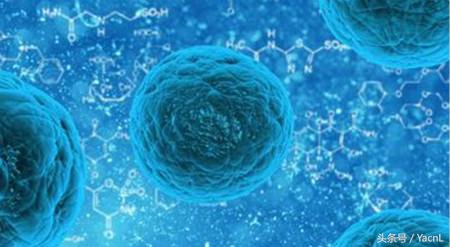 《昆山调查》存储宝宝的间充质干细胞治疗舅舅的脑瘤