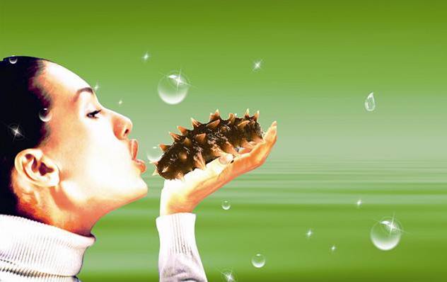 浅释《濒湖脉学》中的浮脉和滑脉（七）