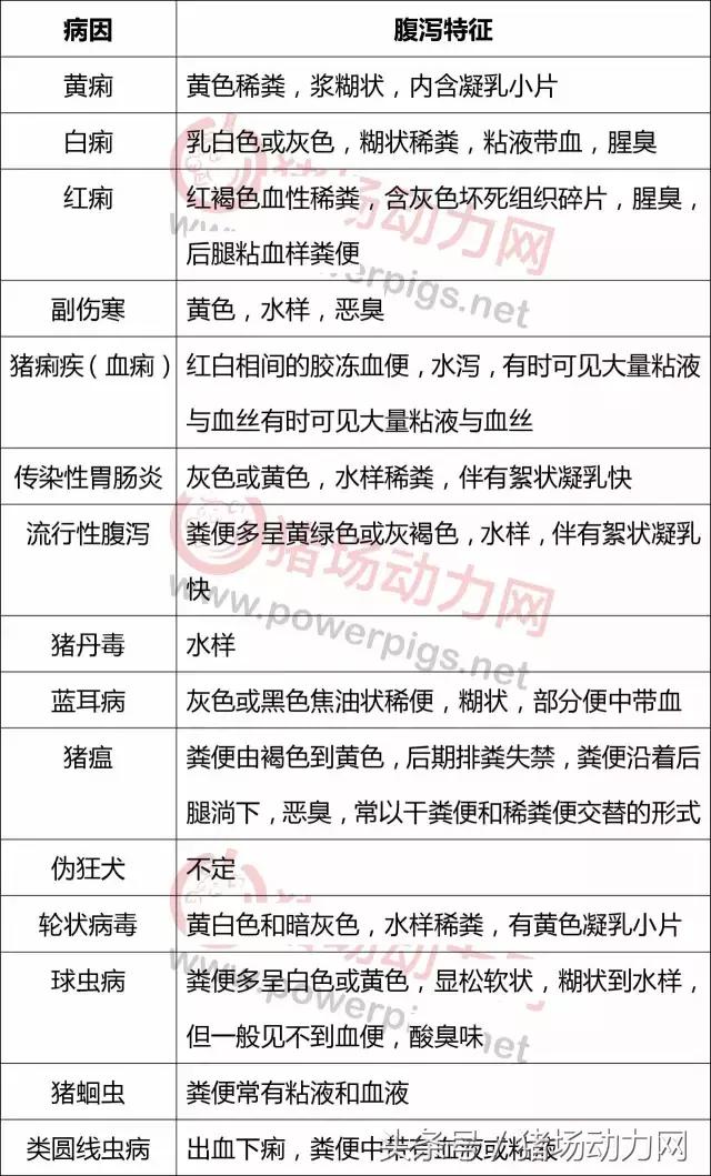 腹泻小知识图文,治疗腹泻小妙招