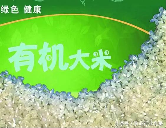 干货如何赚钱,干货如何做大