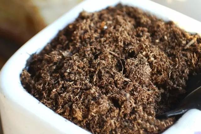 多肉配土为什么加稻壳炭,多肉配好的营养土