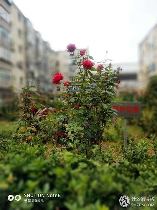 魅蓝note5对比魅蓝6,魅蓝note5和魅蓝note6对比