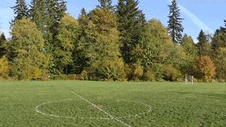 iphonex还能撑多久,iphonex烂大街吗