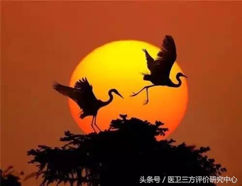 治癌手术,肿瘤消融术能治什么癌症