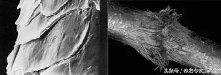 让你意想不到的瞬间音乐,让你意想不到的结局视频