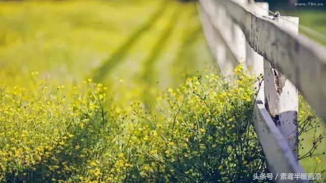 靠自己的努力走出抑郁,抑郁努力治愈自己