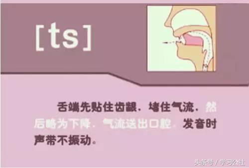 小妞老师音标发音48个教学视频,音标发音48个正确发音讲解视频