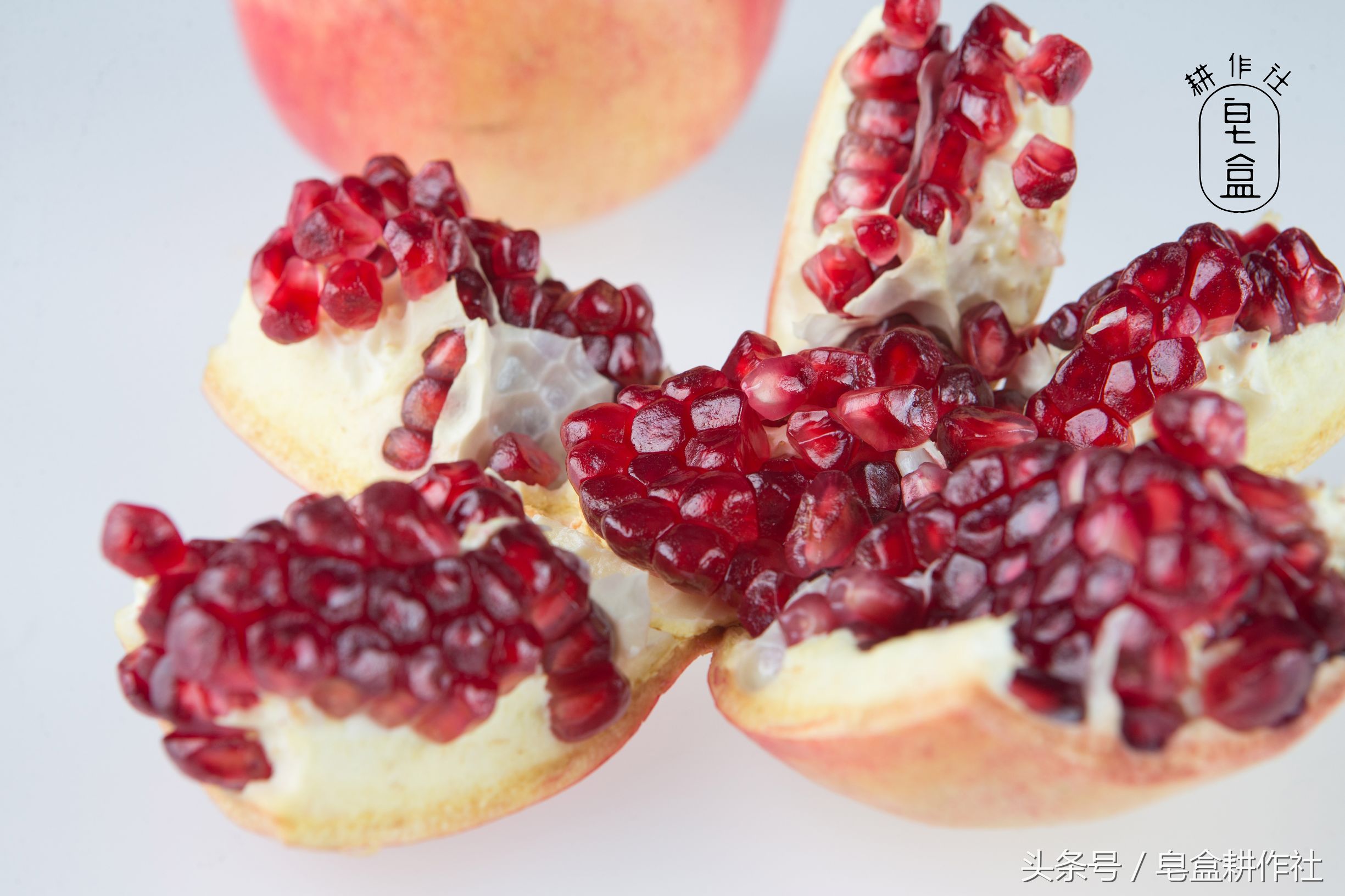 颜值与美味并存的突尼斯软籽石榴,想吃的来品尝突尼斯软籽石榴