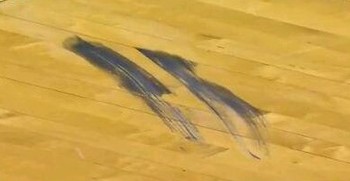 伟大的象征：孙杨的指纹、郭晶晶的眼睛、詹姆斯的脚趾、科比的手