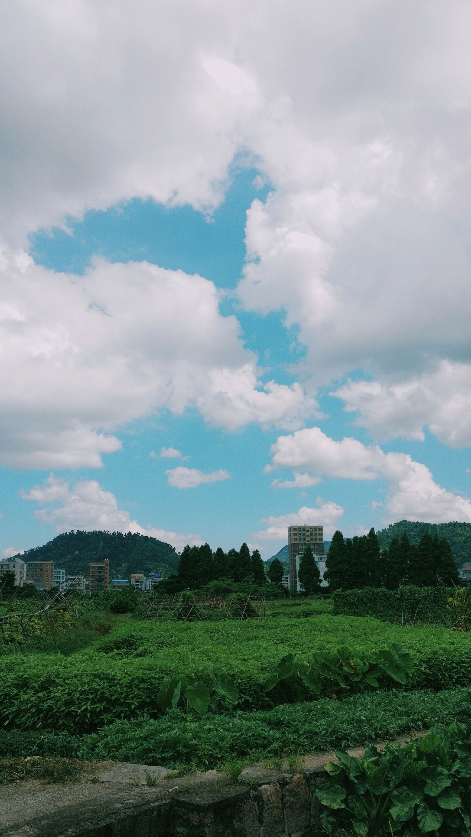 超多高清好看的壁纸,归来的奥特曼壁纸