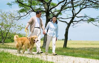 高血压三级能通过锻炼降血压吗,高血压锻炼哪个动作最好