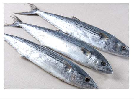 中国人常吃的鱼,常吃的海鱼种类及图片