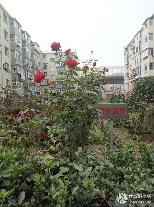 魅蓝note5对比魅蓝6,魅蓝note5和魅蓝note6对比