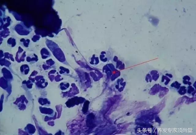 让你意想不到的瞬间音乐,让你意想不到的结局视频