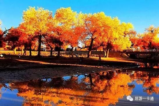 居游大事｜金秋套票正式发售啦！这次两个套票任你选！