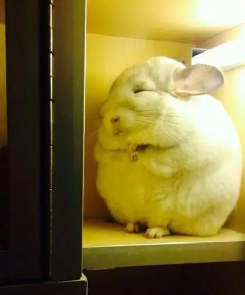 这些散落各地的电影院，宁愿让我错过外面的风景