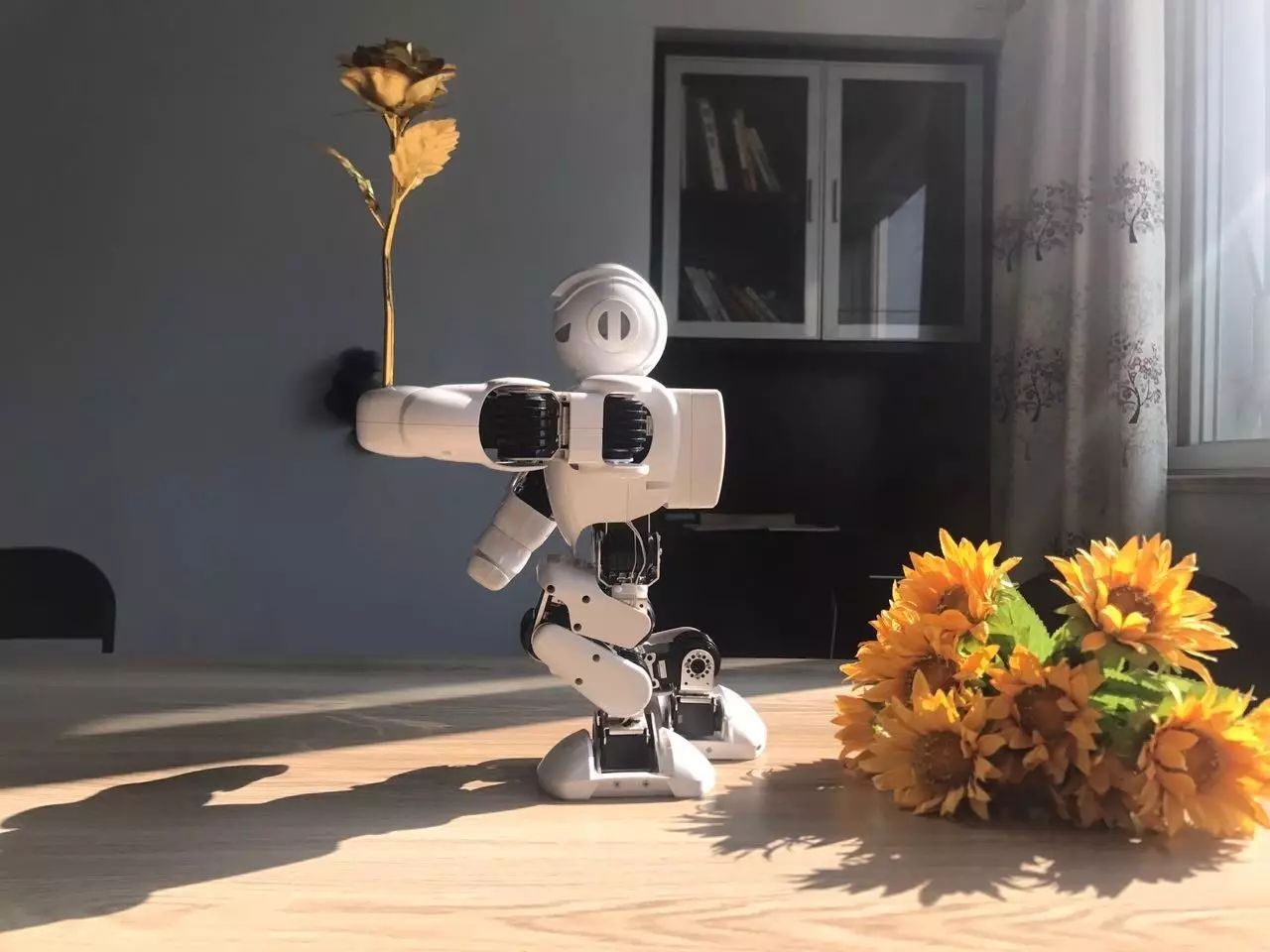 6米8的大黄蜂,800多块的大黄蜂机器人