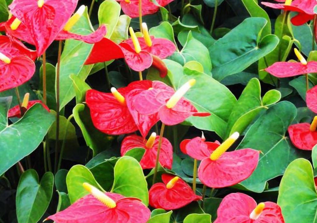 做人要有心机文案,做人要有心机视频