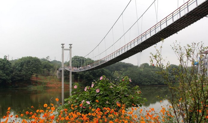 衡阳雁栖湖公园有哪些,衡阳市湿地公园