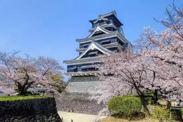 最全旅行干货,日本的干货