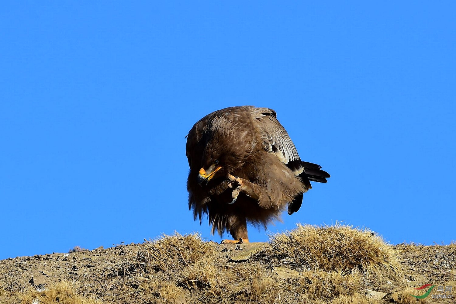 市场机会大的行业,市场机会线