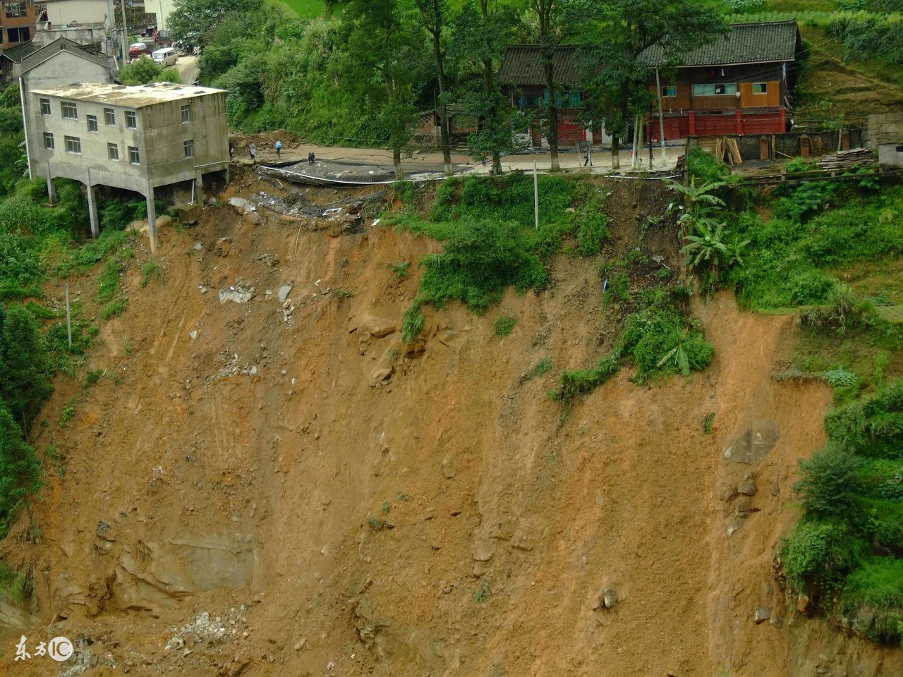 故事：开夜车故意压死挡路蛇，岂料一家人死于非命，做人需行善