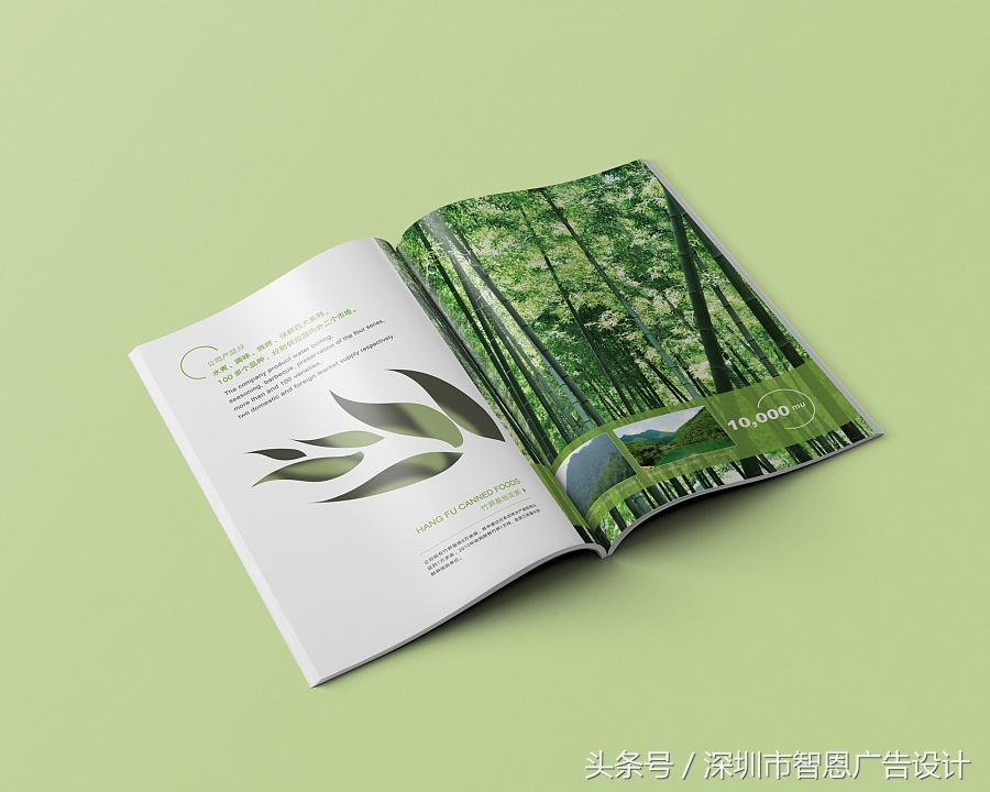 画册设计技术标准,画册设计的功能和特色