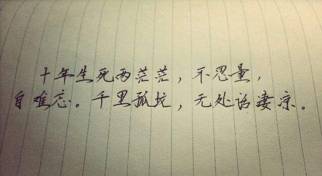 两茫茫不思量自难忘什么意思,十死两茫茫不思量自难忘全诗