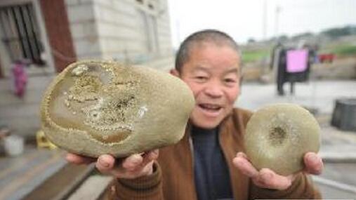 中药马宝的功效与作用,马宝功效