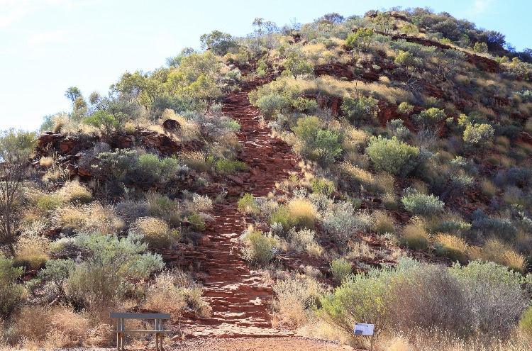 关于澳洲的一切,澳大利亚国王峡谷