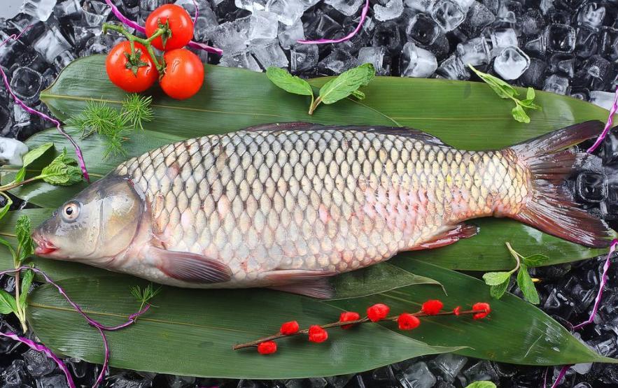 青鱼草鱼的区分,鲢鱼与青鱼和草鱼的区别