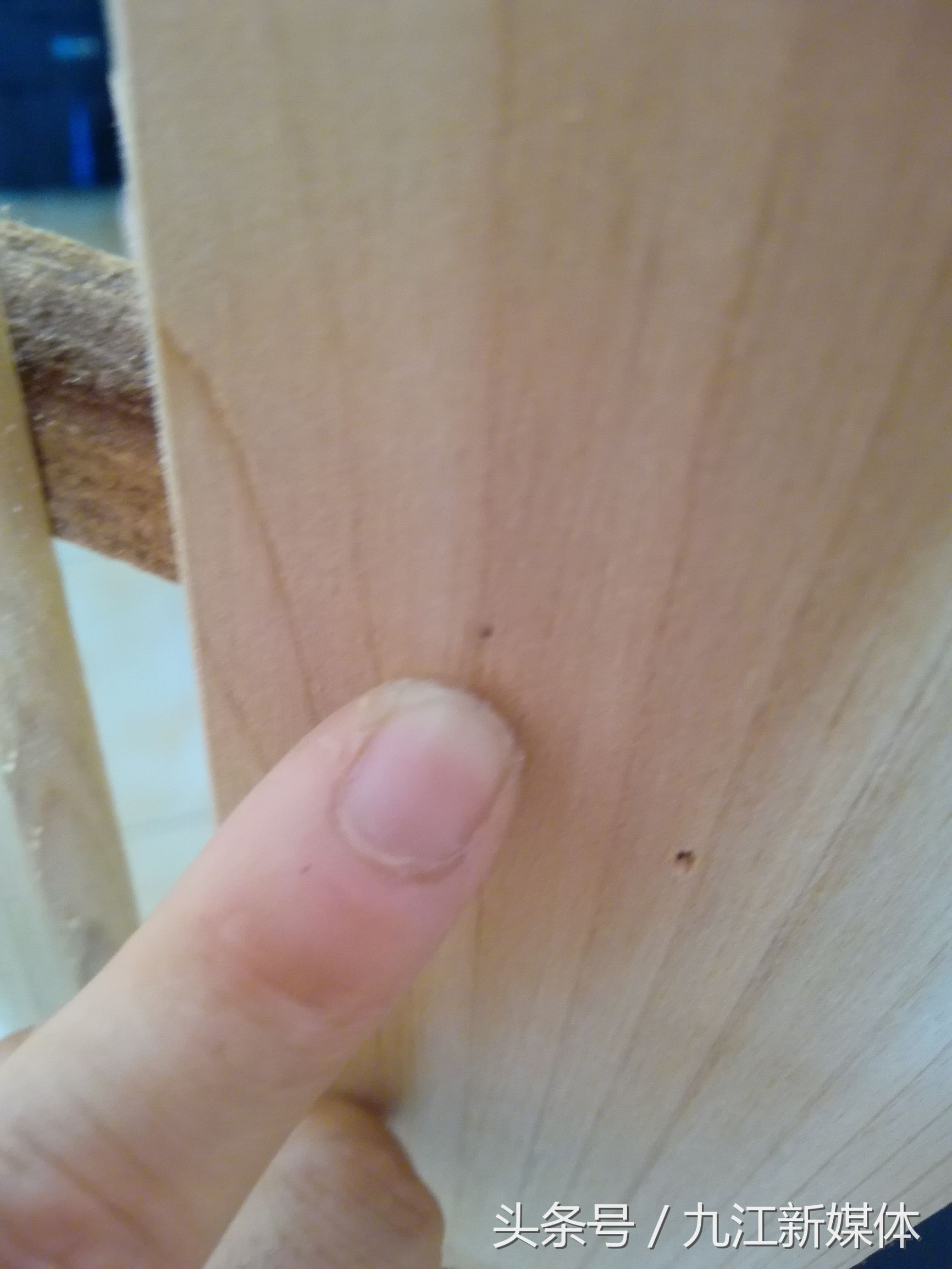 江西九江最近出现小虫子,九江最近家里好多小虫子