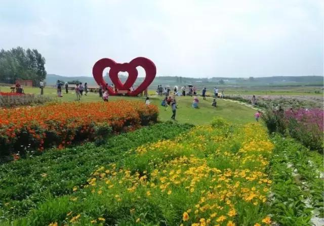 居游大事｜金秋套票正式发售啦！这次两个套票任你选！