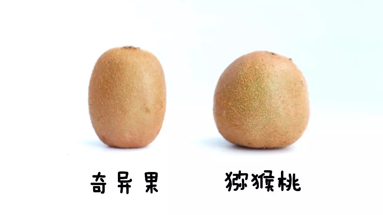 不削皮的猕猴桃怎么切好看,猕猴桃怎么去皮不脏手